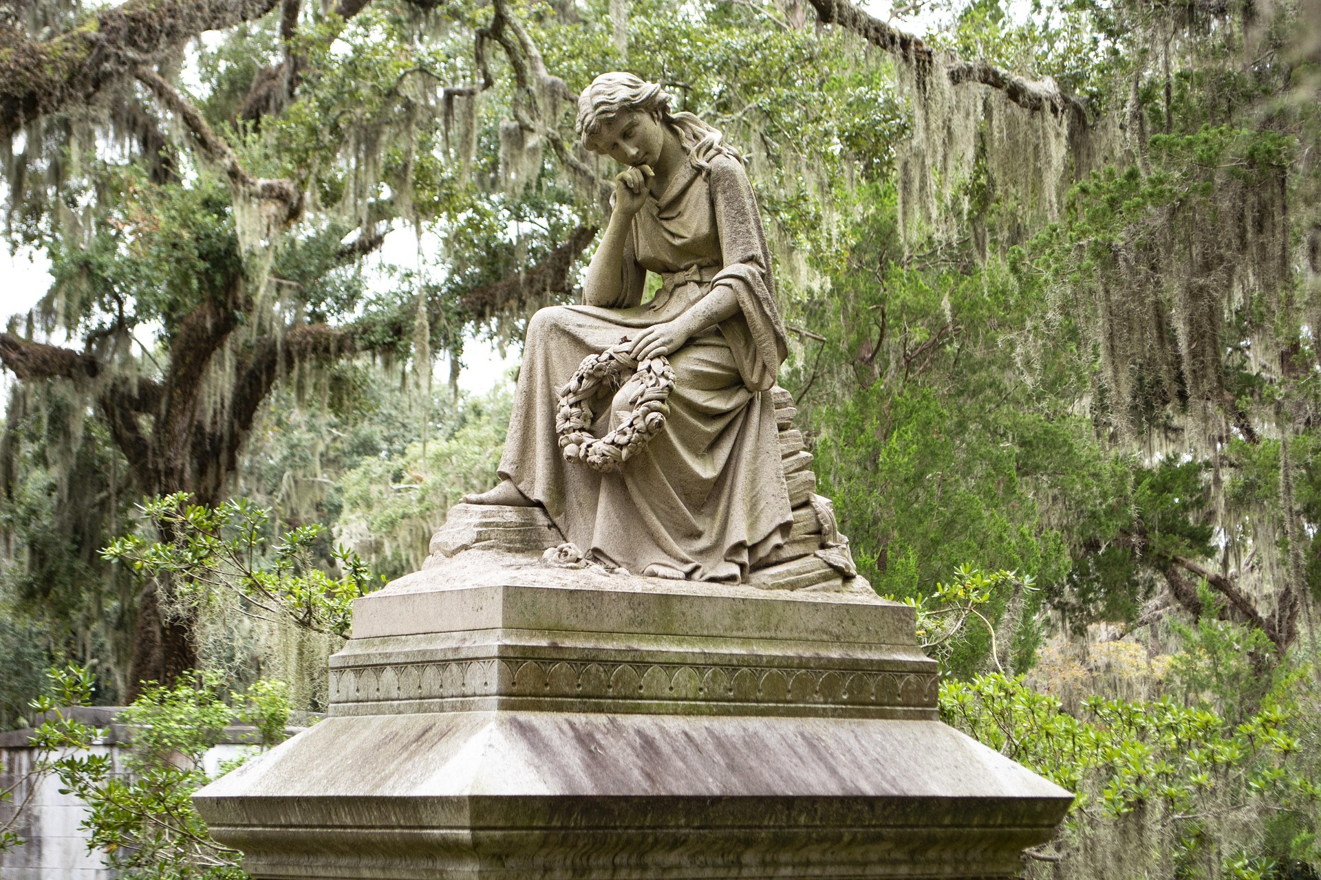Savannah14
