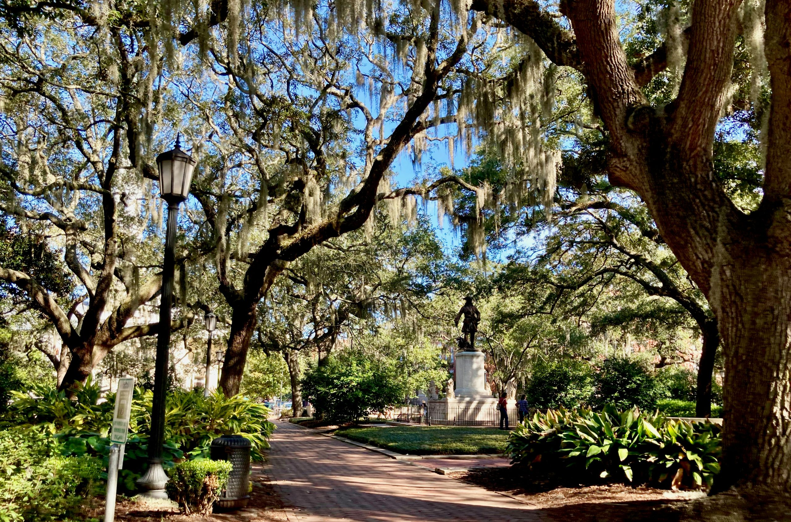 savannah2